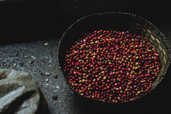 Cup of Excellence Burundi