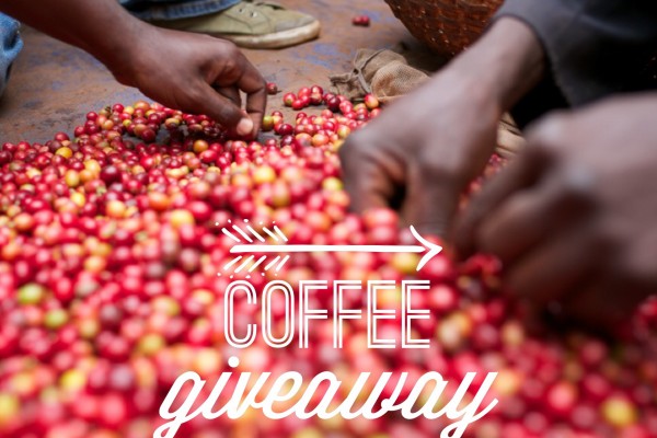 Burundi Coffee Giveaway + Harvest Update