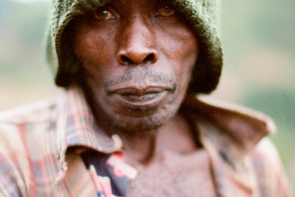 Portraits of Coffee Harvest + Links