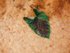 freshly-roasted-coffee-left-to-cool-on-a-banana-leaf