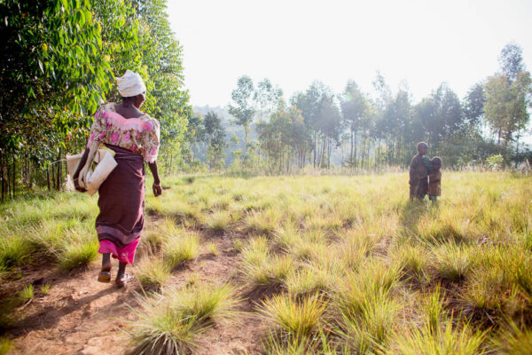 HOW IS COVID-19 AFFECTING BURUNDI COFFEE?