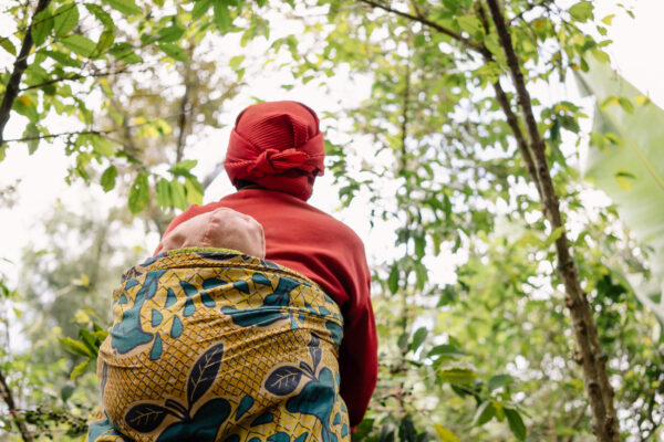 Celebrating women farming coffee on Gikungere hill in Burundi.