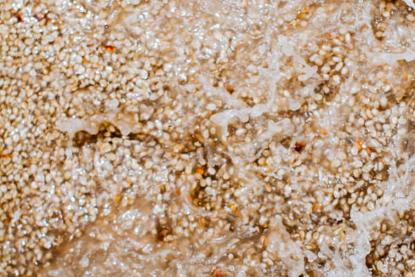 Dynamic image of coffee parchment getting washed in water