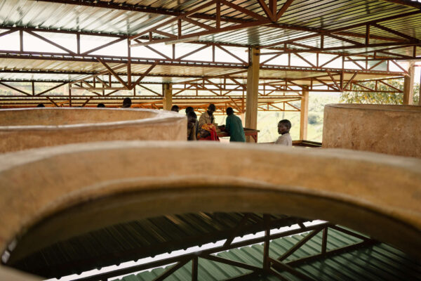 Long Miles Coffee Washing Station